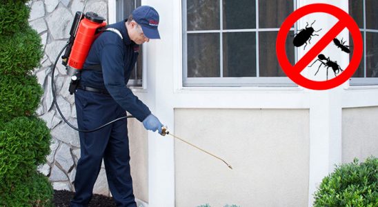 Güngören Hamam Böceği İlaçlama böcek ilaçlama ve haşere kontrolü — ilaclama-tr.com